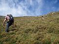 Mourne MM 015